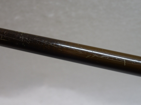 セージ　グラファイト２